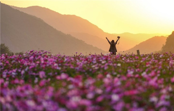 galsang flowers hangzhou 2.jpg