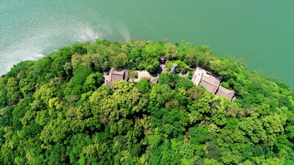 tongjun hangzhou.jpg