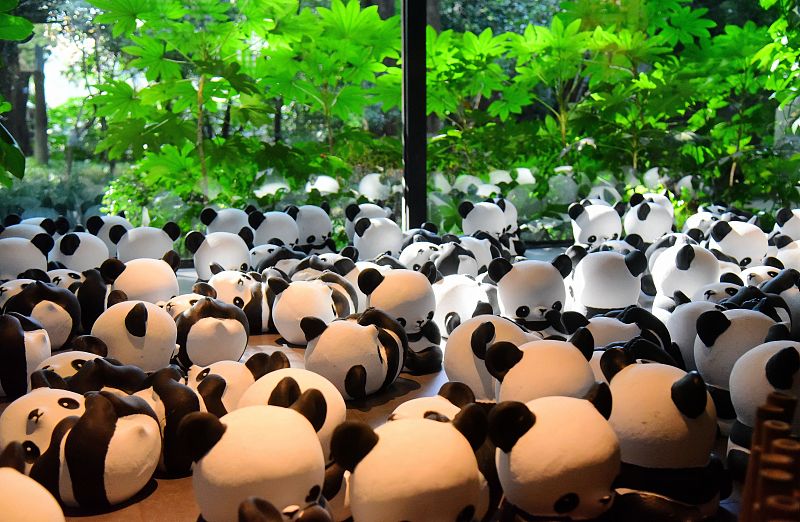 1864 - special exhibition of panda' unveiled in hangzhou