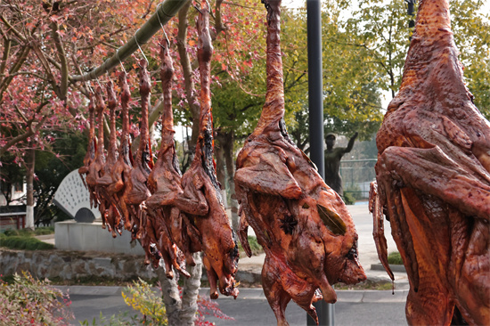 a village treat of preserved duck, smoked chicken