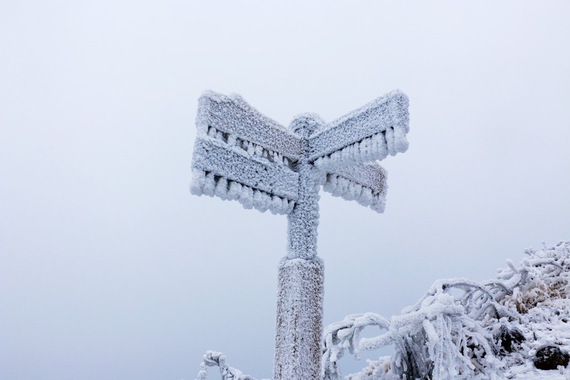 雪景2.jpg