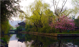 fishing view at the flower harbor