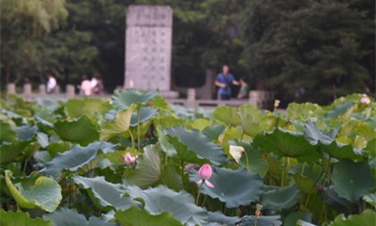 in pics: west lake in hangzhou, east china's zhejiang