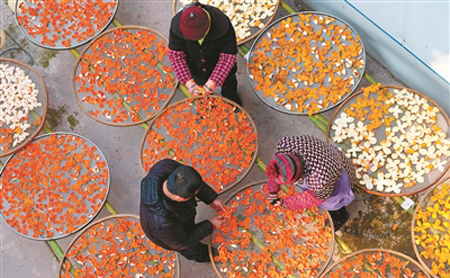 qiandao lake tangerine tea gains popularity