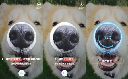 hangzhou pilots pet noseprint recognition technology