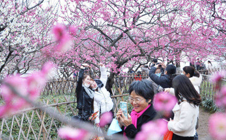 hangzhou residents show strong consumption during spring festival