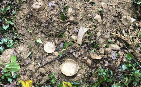 bamboo digger finds ancient ceramic works