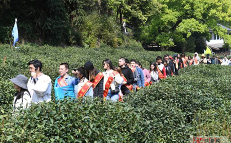 intl students experience longjing tea culture