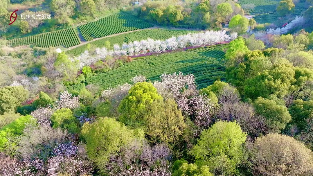 bask in spring at gaoting mountain