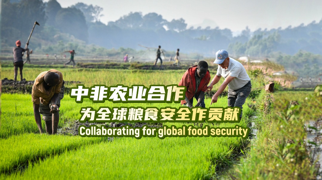 expert: china-africa partnership offers hope of global food security