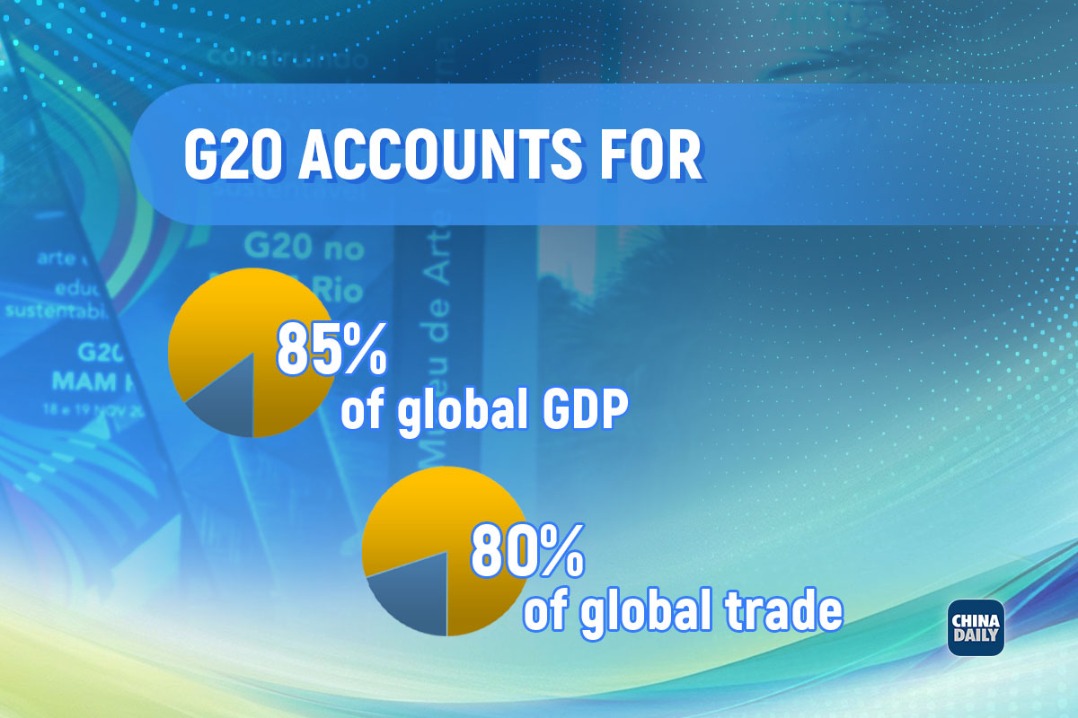 infographics: g20 at a glance