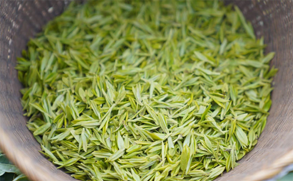 west lake longjing tea protection regulations to take effect in spring 2022