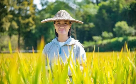 lin'an builds entrepreneurial center for agricultural talent